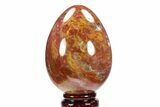 Colorful, Polished Petrified Wood Egg - Triassic #133928-1